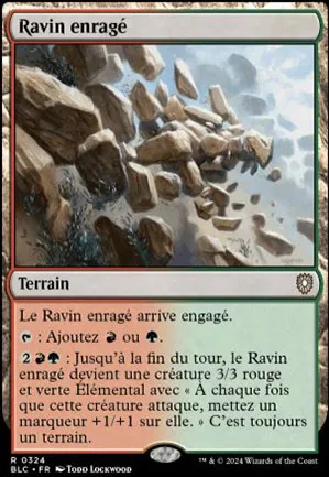 Ravin enragé