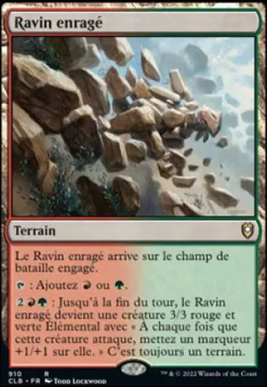 Ravin enragé