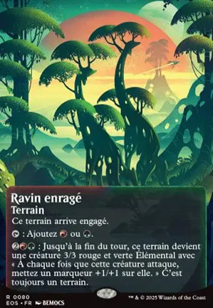 Ravin enragé