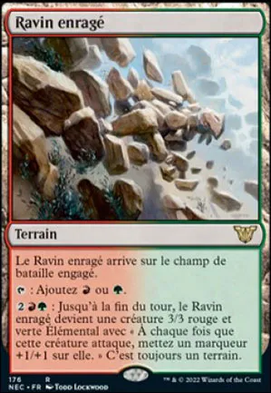 Ravin enragé