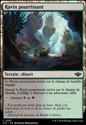 Ravin pourrissant