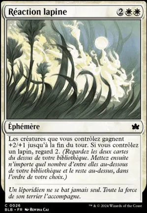Réaction lapine