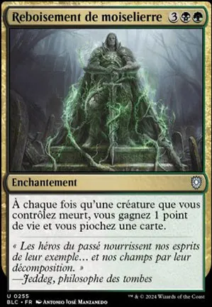Reboisement de moiselierre