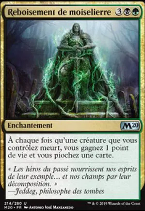 Reboisement de moiselierre