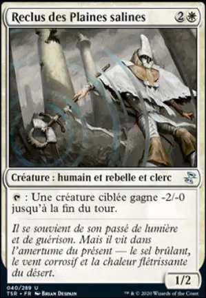 Reclus des Plaines salines
