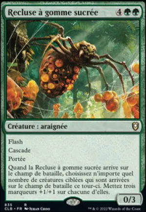 Recluse à gomme sucrée