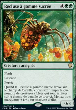 Recluse à gomme sucrée