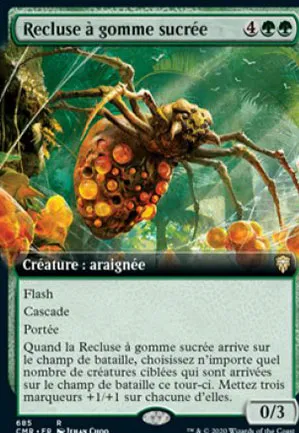 Recluse à gomme sucrée