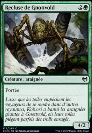Recluse de Gnottvold