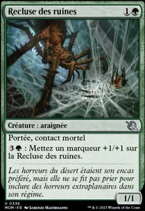 Recluse des ruines