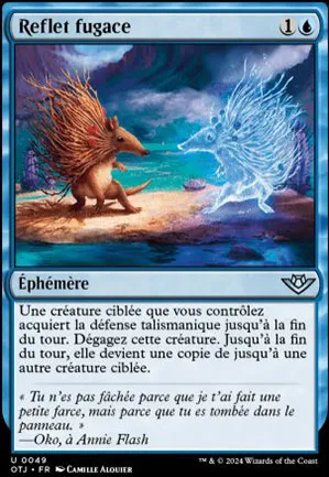 Reflet fugace