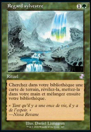 Regard sylvestre