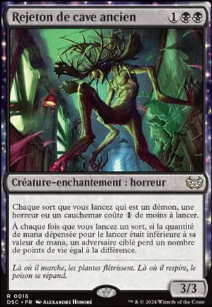 Rejeton de cave ancien