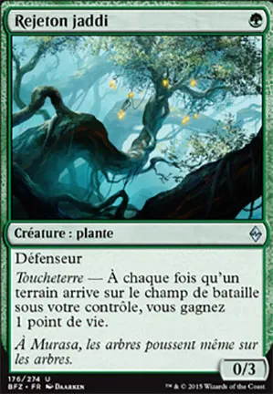 Rejeton jaddi