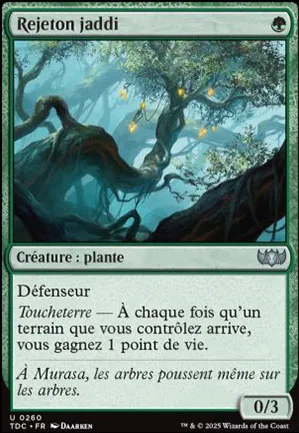 Rejeton jaddi