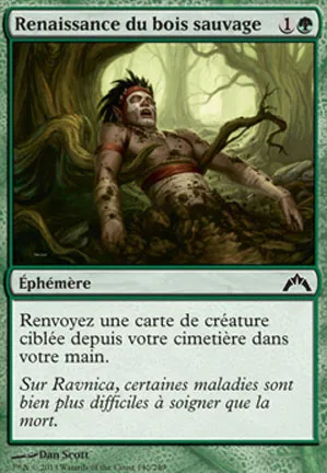 Renaissance du bois sauvage