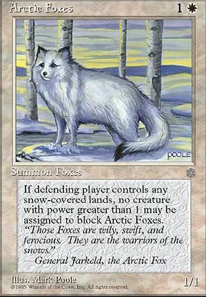 Renards arctiques