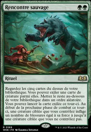 Rencontre sauvage