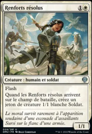 Renforts résolus