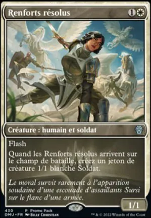 Renforts résolus