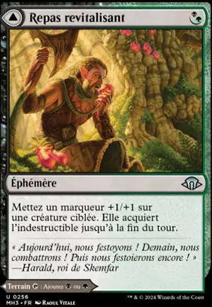 Repas revitalisant // Bosquet primaire