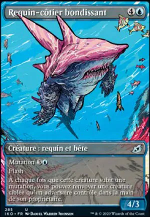 Requin-côtier bondissant