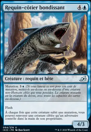 Requin-côtier bondissant