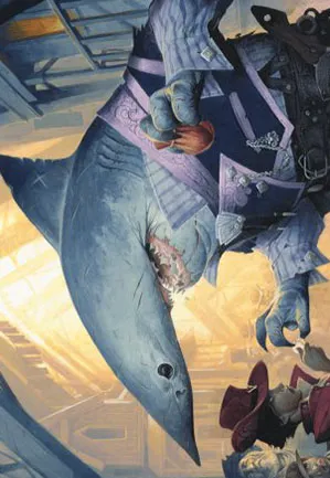 Requin usurier - Illustration