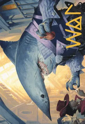 Requin usurier - Illustration