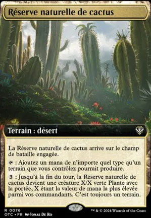 Réserve naturelle de cactus