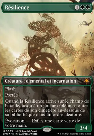 Résilience