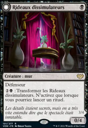 Rideaux dissimulateurs // Œil révélateur