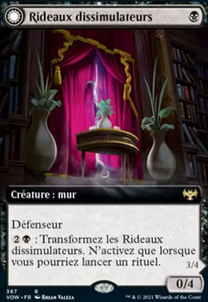 Rideaux dissimulateurs // Œil révélateur