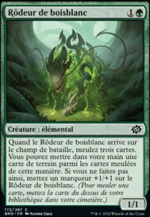 Rôdeur de boisblanc