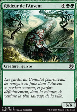 Rôdeur de l'Auvent