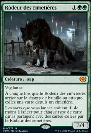 Rôdeur des cimetières