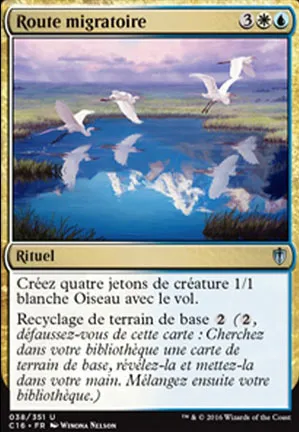 Route migratoire