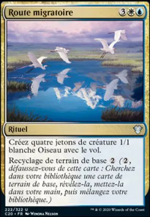 Route migratoire