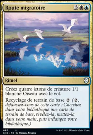 Route migratoire