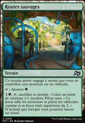 Routes sauvages