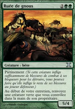 Ruée de gnous