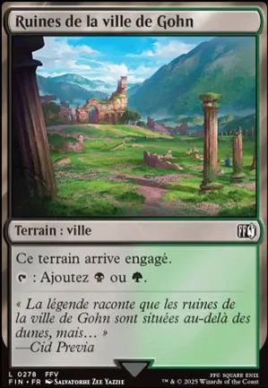 Ruines de la ville de Gohn