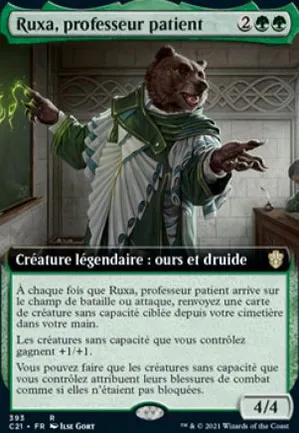 Ruxa, professeur patient