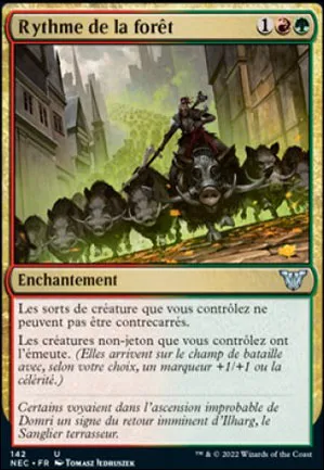 Rythme de la forêt