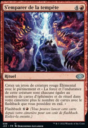 S'emparer de la tempête
