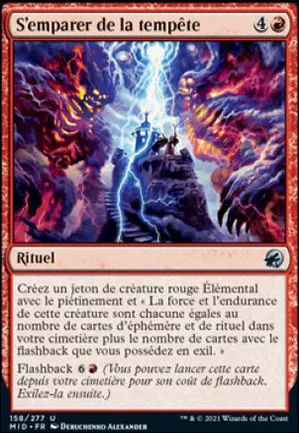 S'emparer de la tempête