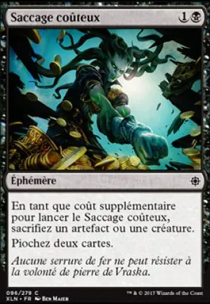 Saccage coûteux