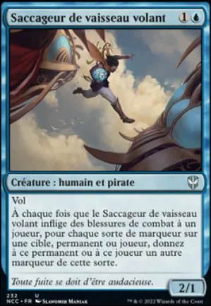 Saccageur de vaisseau volant