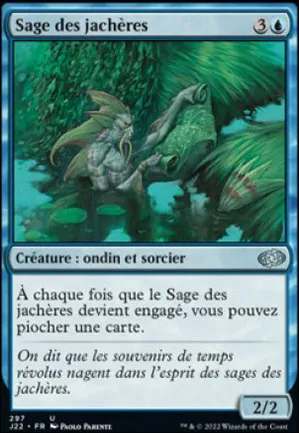 Sage des jachères