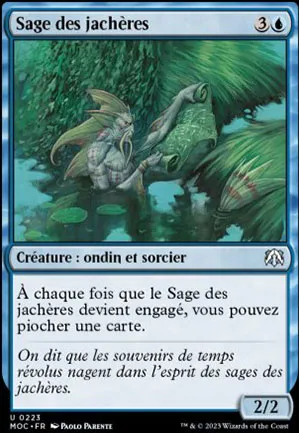Sage des jachères